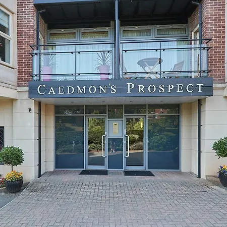 דירה Host & - Caedmons Prospect וויטבי